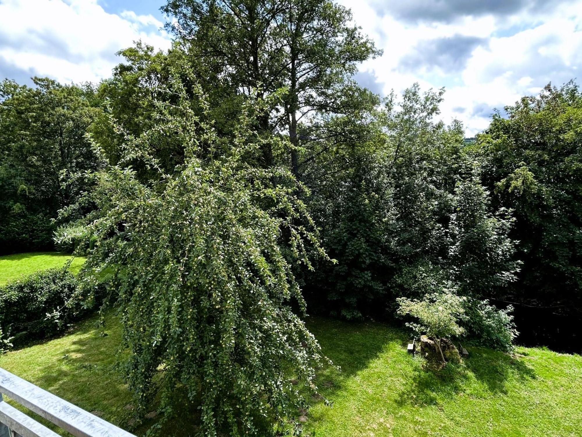 Ferienwohnung Sauerland An Der Ruhr Olsberg Buitenkant foto