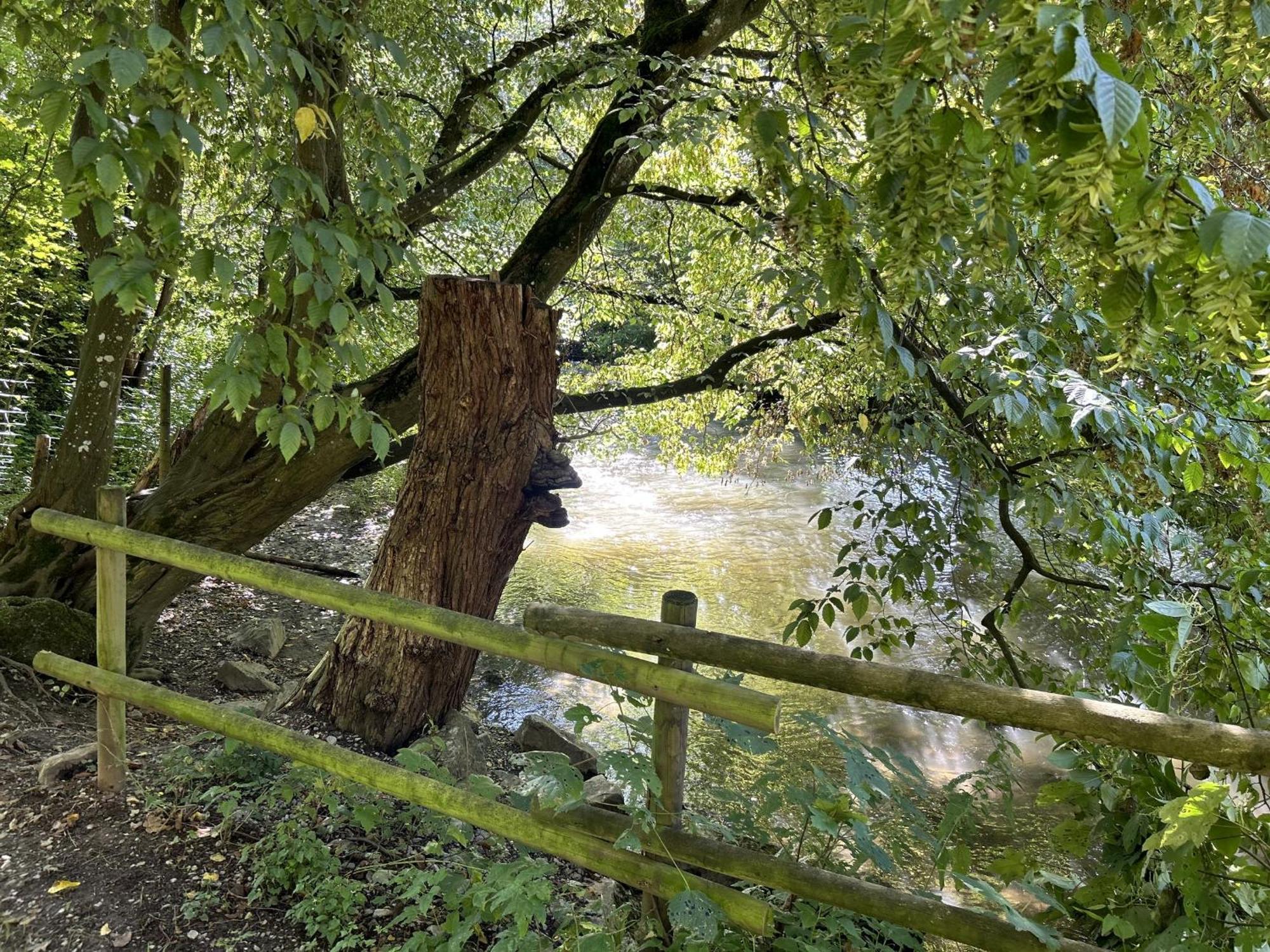 Ferienwohnung Sauerland An Der Ruhr Olsberg Buitenkant foto