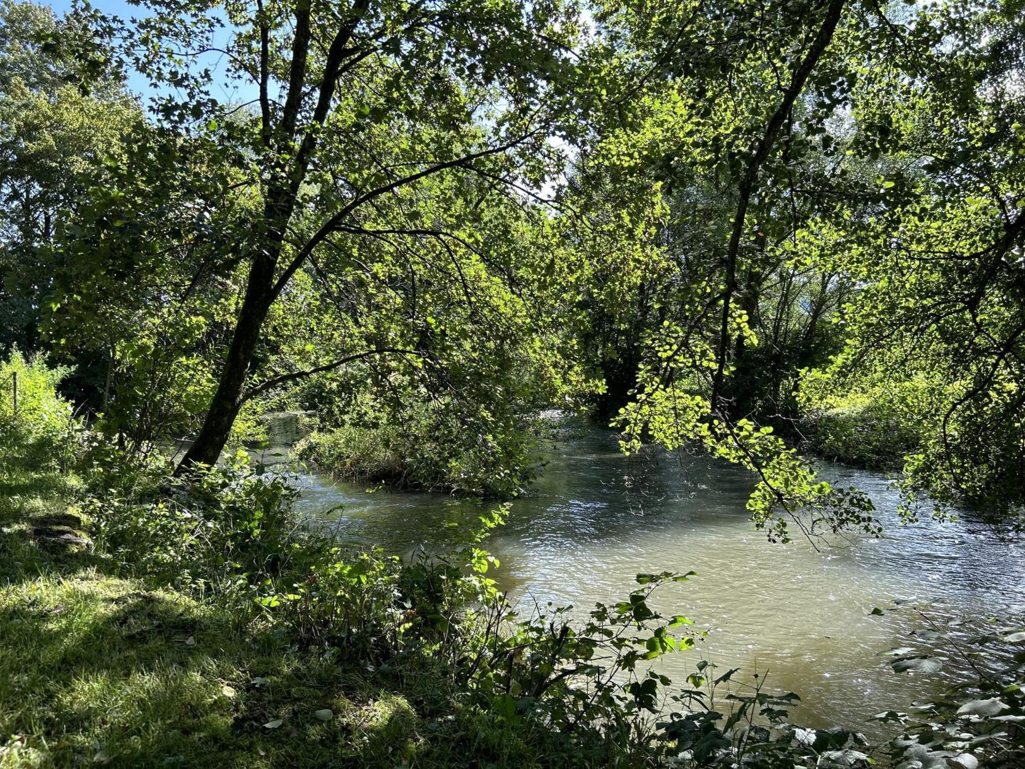Ferienwohnung Sauerland An Der Ruhr Olsberg Buitenkant foto